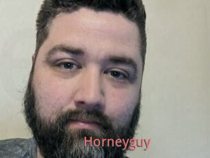 Horneyguy