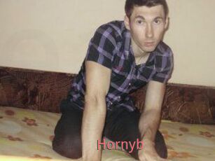 Hornyb