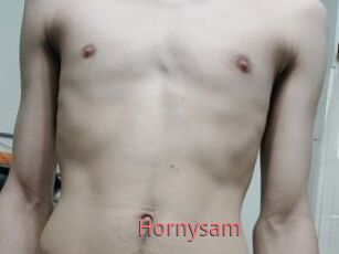 Hornysam