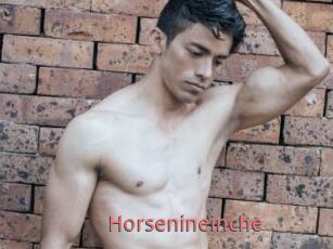 Horsenineinche