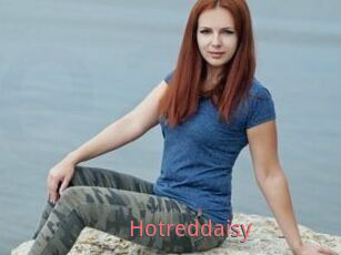 Hotreddaisy