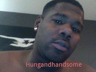 Hungandhandsome