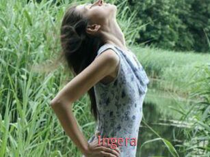 Ingera
