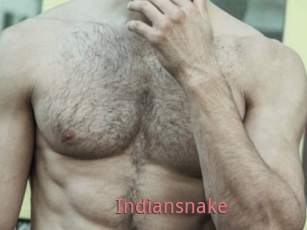 Indiansnake