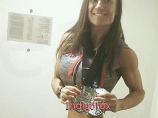 Indigofox