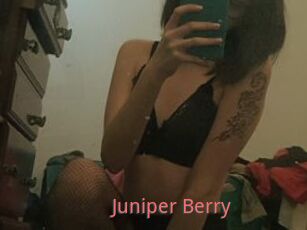 Juniper_Berry