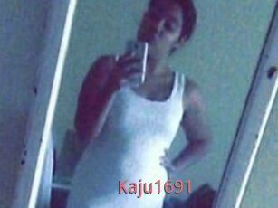 Kaju1691