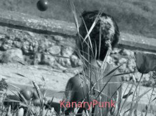 KanaryPunk