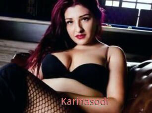 Karinasodi