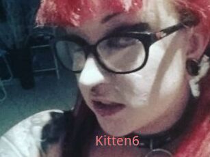 Kitten6