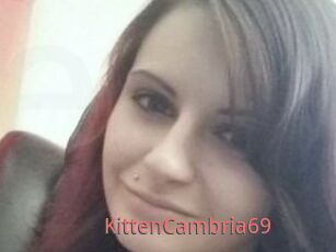 KittenCambria69