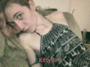KittyBird