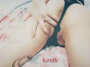 Kotek