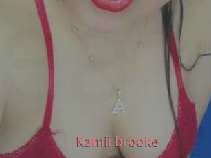 Kamii_brooke