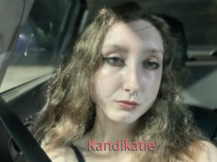 Kandikatie