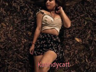 Kanndycatt