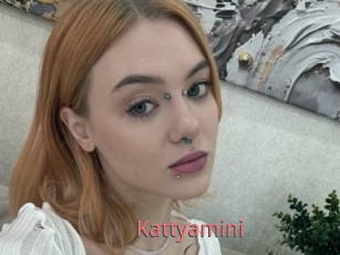 Kattyamini