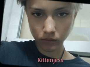 Kittenjess
