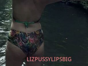LIZPUSSYLIPSBIG