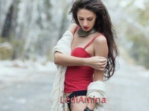 LediAmina