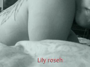 Lily_roseh