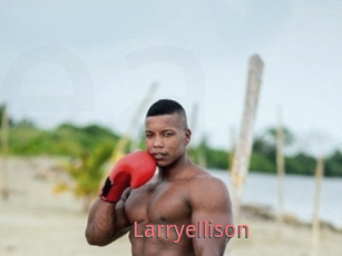 Larryellison