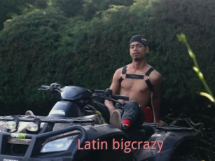Latin_bigcrazy