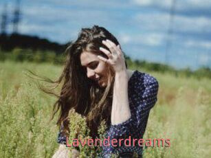 Lavenderdreams