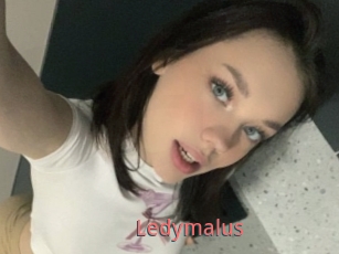 Ledymalus