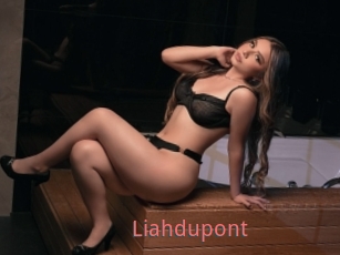 Liahdupont