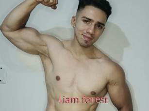 Liam_forest