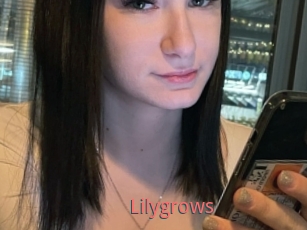 Lilygrows