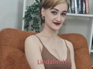 Lindafinch