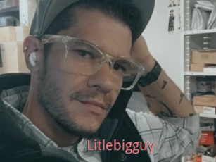 Litlebigguy