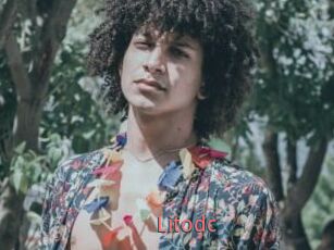 Litodc