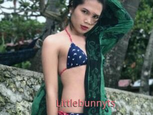 Littlebunnyts