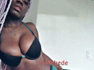 Liyakebede