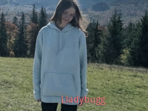 Lladybugg