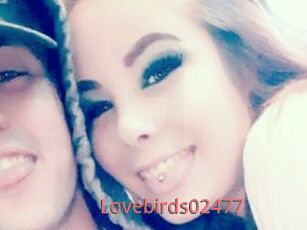 Lovebirds02477