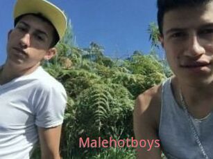 Malehotboys