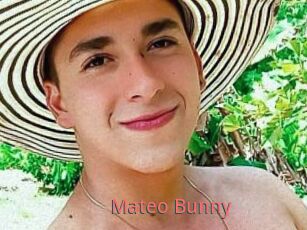 Mateo_Bunny