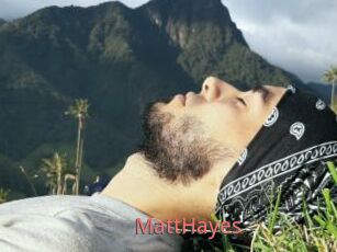 MattHayes