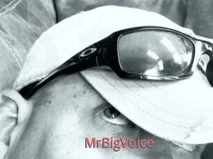 MrBigVoice