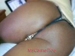MsCamelToe