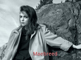 Maebreed