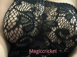 Magiccricket