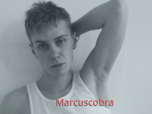 Marcuscobra