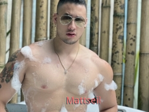 Mattseil