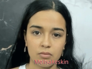 Melisakeskin