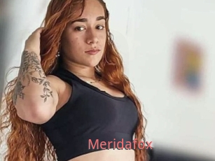Meridafox